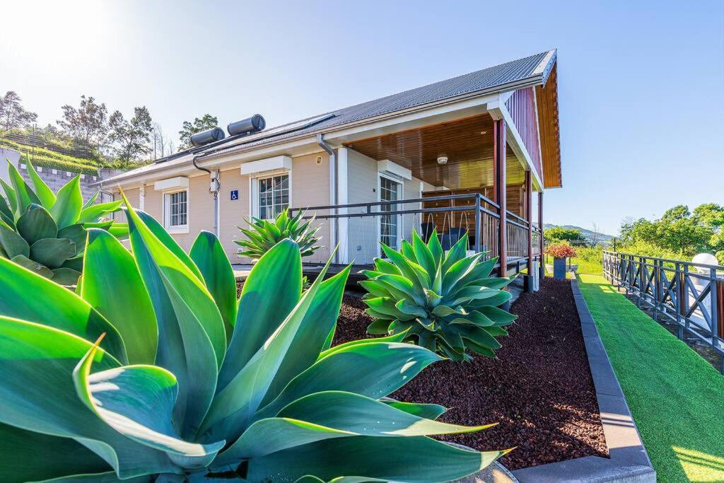Apartmán Kaz Noulafe Saint-Leu Exteriér fotografie